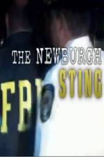Watch The Newburgh Sting Megashare8