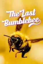 Watch The Last Bumblebee Megashare8