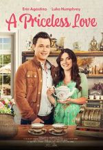 Watch A Priceless Love Megashare8