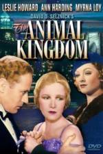 Watch The Animal Kingdom Vidbull