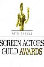 Watch The 20th Annual Screen Actors Guild Awards Megashare8