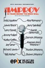 Watch The Improv: 50 Years Behind the Brick Wall (TV Special 2013) Online Megashare8