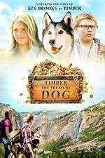 Watch Timber the Treasure Dog Megashare8