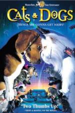 Watch Cats & Dogs Megashare8