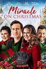 Watch Miracle on Christmas Megashare8
