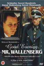 Watch Good Evening, Mr. Wallenberg Megashare8