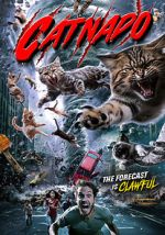 Watch Catnado Megashare8