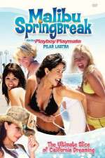 Watch Malibu Spring Break Megashare8