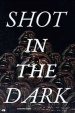 Watch Shot in the Dark Megashare8