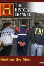 Watch The History Channel: Busting the Mob Megashare8