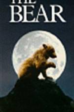 Watch The Bear - (L'ours) Megashare8