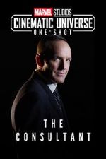 Watch Marvel One-Shot: The Consultant Megashare8