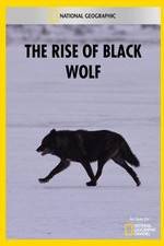 Watch The Rise of Black Wolf Megashare8