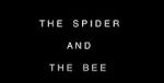 Watch The Spider and the Bee Megashare8