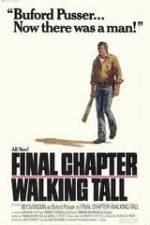 Watch Final Chapter Walking Tall Megashare8
