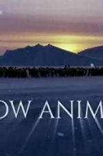 Watch Snow Animals Megashare8