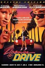 Watch License to Drive Megashare8