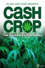 Watch Cash Crop Megashare8