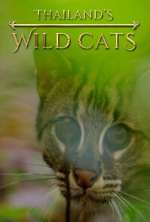 Watch Thailand's Wild Cats Megashare8