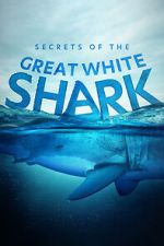 Watch Secrets of the Great White Shark Megashare8