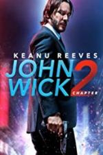 Watch John Wick Chapter 2: Wick-vizzed Megashare8