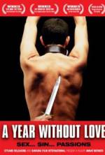 Watch A Year Without Love Megashare8