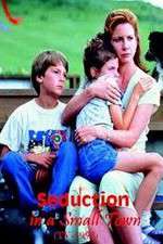 Watch Seduction in a Small Town Megashare8
