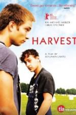 Watch Harvest Megashare8