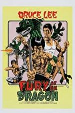 Watch Fury of the Dragon Megashare8