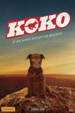 Watch Koko: A Red Dog Story Megashare8