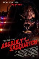 Watch Sasquatch Assault Megashare8