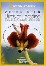 Watch Winged Seduction: Birds of Paradise Megashare8