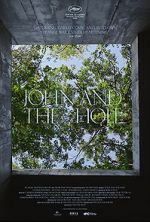 Watch John and the Hole Megashare8