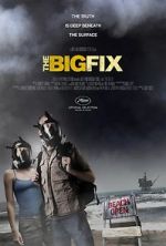 Watch The Big Fix Megashare8