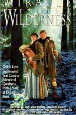 Watch Miracle in the Wilderness Megashare8