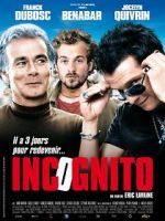 Watch Incognito Megashare8