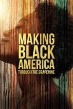 Watch Making Black America: Through the Grapevine Megashare8