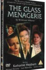 Watch The Glass Menagerie Megashare8
