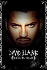 Watch David Blaine: Real or Magic Megashare8