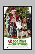 Watch 12 Dog Days Till Christmas Megashare8
