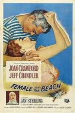 Watch Female on the Beach Megashare8