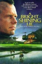 Watch A Bright Shining Lie Megashare8