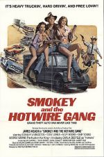 Watch Smokey and the Hotwire Gang Megashare8
