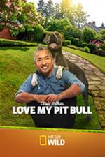 Watch Cesar Millan: Love My Pit Bull Megashare8