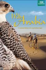 Watch Wild Arabia Megashare8