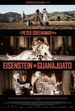 Watch Eisenstein in Guanajuato Megashare8