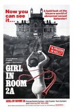 Watch The Girl in Room 2A Megashare8