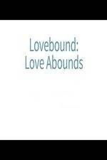 Watch Lovebound: Love Abounds Megashare8