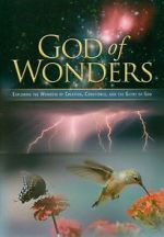 Watch God of Wonders Megashare8