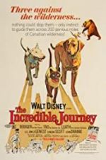 Watch The Incredible Journey Megashare8